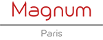 Magnum Paris, location de minibus et car avec chauffeur sur Paris et l'ile de France